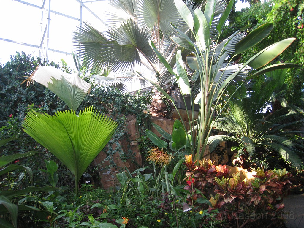 Michigans West Coast 2009 0575.jpg - Labor Day 2009. A trip along Michigans west coast to see beachs, art and buffets.